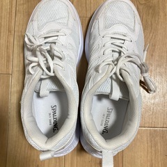 【ほぼ新品】SPALDING スポーツシューズ 26.5cm 白｜室内1時間のみ使用の画像