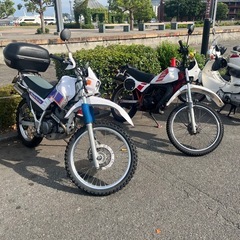 MTX50(AD04) 初期型 希少車 2スト原付 フルサイズの画像