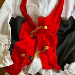 【USED】 ドラキュラ 仮装グッズの画像