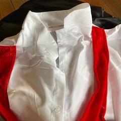 【USED】 ドラキュラ 仮装グッズの画像