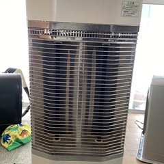 ダイキンヒーター2灯 ERFT10JASの画像