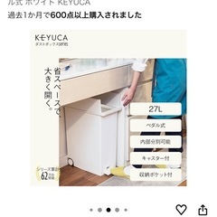 ゴミ箱　
ダストボックス　27L　白色と黒色の２つセット！　ペダル式の画像