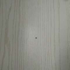 収納家具 クローゼットの画像