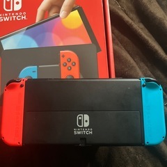 【使用歴5ヶ月】NintendoSwitch有機ELモデルの画像