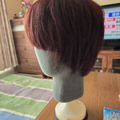 ウィッグの画像