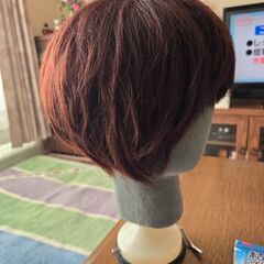 ウィッグの画像