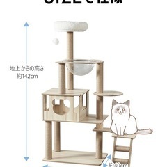 キャットタワー上部未使用の画像