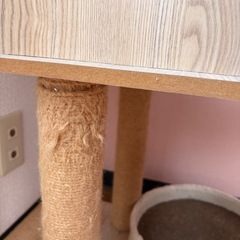 キャットタワー上部未使用の画像