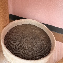 キャットタワー上部未使用の画像