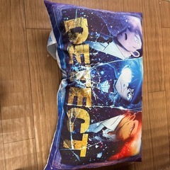 名探偵コナン　隻眼のフラッシュバックのまくらの画像