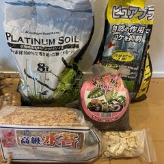 水槽、テラリウムにソイル、流木などの画像