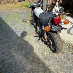 ホンダノーティダックス50cc原付 の画像