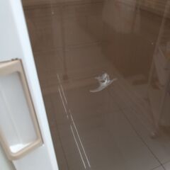 ★リユースのサカイ日立店★HJ8717  プラスチック製クローゼット ホワイト H136×D50×W104 クリーニング済み の画像