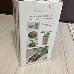 【栽培キット】ごぼうの画像