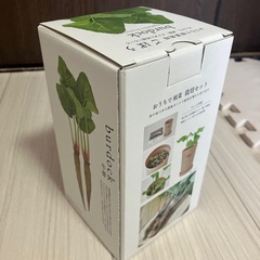 【栽培キット】ごぼうの画像