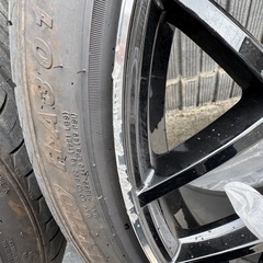 COSMIC ヴェネルディレッジェーロ20インチの画像