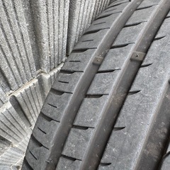 COSMIC ヴェネルディレッジェーロ20インチの画像