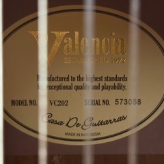 ギター　スターターセット(ﾟ∀ﾟ)の画像