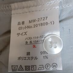 フリルブラウス　T-561の画像