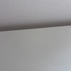 IKEA ダイニングテーブル　MELLTORP　の画像