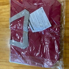 保冷バッグ　未使用の画像