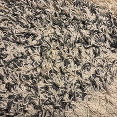 ニトリ ラグの画像