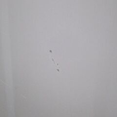 6.0kg 洗濯機 2022年製 YAMADA SELECT YWM-T60H1☆ 札幌市 北区 屯田 の画像