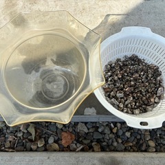 金魚鉢&床材の画像