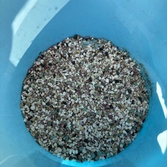 金魚鉢&床材の画像