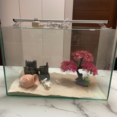 大型水槽セット　メガパワー6090　照明付きの画像