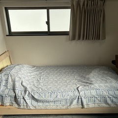 シングルの画像