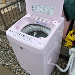 Hisense 5.5KG洗濯機の画像