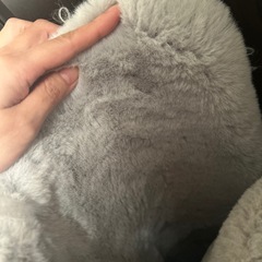 カーペット※12/21までにお引渡しできる方 の画像