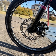 ドッペルギャンガー 222 ミニベロ オルタナティブの画像