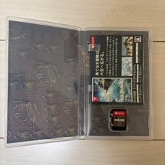 ゼルダの伝説　TEARS of the Kingdom
の画像