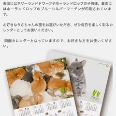うさぎのしっぽ2026 年　A2サイズポスターカレンダー　の画像