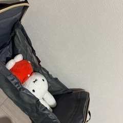 ベビーベッドにもなるリュックの画像