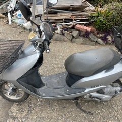 ホンダディオの画像