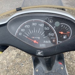 ホンダディオの画像