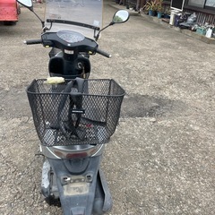 ホンダディオの画像