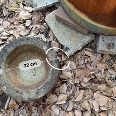 庭のインテリア、メダカ入れの画像