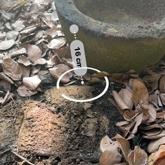 庭のインテリア、メダカ入れの画像