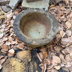 庭のインテリア、メダカ入れの画像