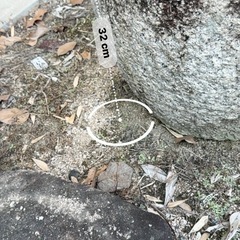 庭のインテリア、メダカ入れの画像