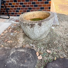 庭のインテリア、メダカ入れの画像