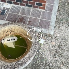 庭のインテリア、メダカ入れの画像