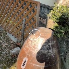 庭のインテリア、メダカ入れにの画像