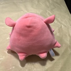 差し上げます　メンダコ　の画像