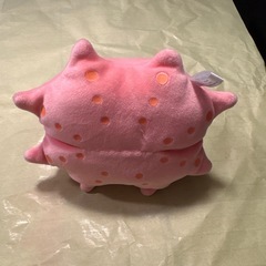 差し上げます　メンダコ　の画像