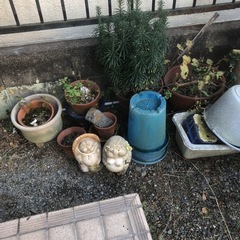 ⭐️植木鉢や植木、タヌキの置物(セトモノ)等全てお願いします🤲の画像